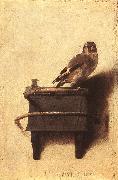 FABRITIUS, Carel The Goldfinch dfgh oil painting artist